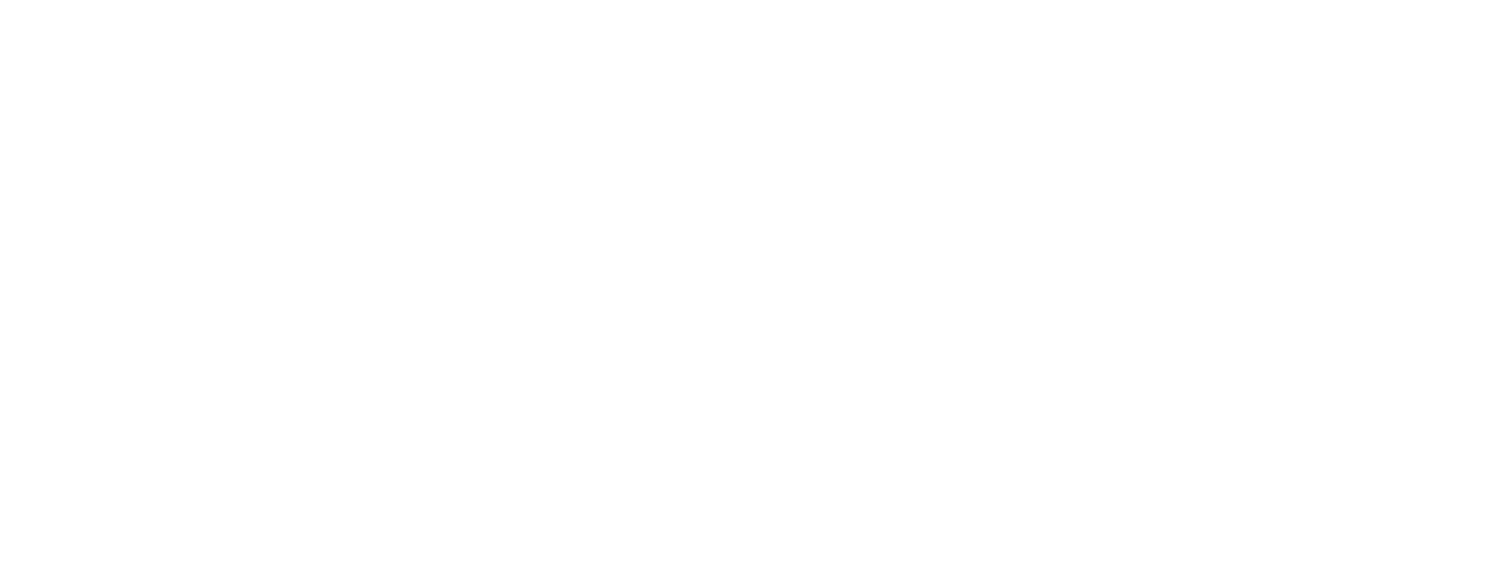 Fischer Automobile